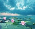 Beautiful landscape with pink lilies. Lake with water lily flowers. Blooming waterlily nymphaea flowers in pond