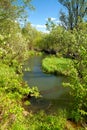 Beautiful summer landscape river bank and sky with white clouds Royalty Free Stock Photo