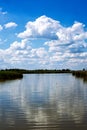 Beautiful summer landscape, river Royalty Free Stock Photo