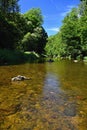 Beautiful summer landscape with river, forest, sun and blue skies. Natural background. Royalty Free Stock Photo