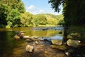 Beautiful summer landscape with river, forest, sun and blue skies. Natural background. Royalty Free Stock Photo