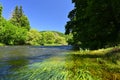 Beautiful summer landscape with river, forest, sun and blue skies. Natural colorful background. Jihlava River, Czech Republic - Royalty Free Stock Photo