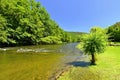 Beautiful summer landscape with river, forest, sun and blue skies. Natural colorful background. Jihlava River, Czech Republic - Royalty Free Stock Photo