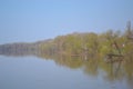 Beautiful summer landscape by the river