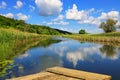 beautiful summer landscape river with reeds and forest Royalty Free Stock Photo