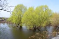 Beautiful summer landscape by the river