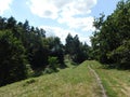 beautiful summer landscape scenic path and trees growing in the city park Royalty Free Stock Photo