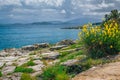 Beautiful summer landscape with sea lagoon and flowers Royalty Free Stock Photo