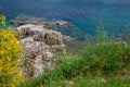 Beautiful summer landscape with sea lagoon, rocks and cliffs, green grass and yellow flowers Royalty Free Stock Photo