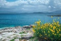 Beautiful summer landscape with sea lagoon Royalty Free Stock Photo
