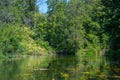 Beautiful summer landscape of the Small Cheremshan river with forest, banks, grass and current. The Ulyanovsk. Royalty Free Stock Photo