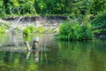 Beautiful summer landscape of the Small Cheremshan river with forest, banks, grass and current. The Ulyanovsk. Royalty Free Stock Photo