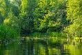 Beautiful summer landscape of the Small Cheremshan river with forest, banks, grass and current. The Ulyanovsk. Royalty Free Stock Photo