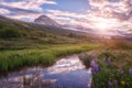 Beautiful summer landscape, sunset over the mountains and flowering valley, Iceland countryside Royalty Free Stock Photo