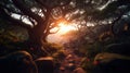 beautiful summer landscape at sunset, a path near an old big tree in the forest, sunlight shines through with twisting Royalty Free Stock Photo