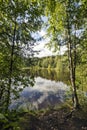 Beautiful summer landscape with a view of the forest lake and Russian birches Royalty Free Stock Photo