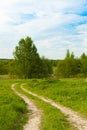 Beautiful Summer Landscape: Way Land Road With Grass With Turn I