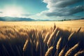 Beautiful summer landscape. Wheat field and mountains in the background.