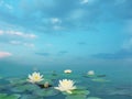 Beautiful landscape with white lilies. Lake with water lily flowers. Nymphaea reflection in the pond