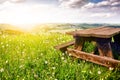 Beautiful summer landscape with wooden picnic place Royalty Free Stock Photo