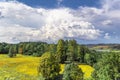 Beautiful summer landscape with a yellow field and green trees, blue sky with white clouds. View from above Royalty Free Stock Photo