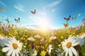 Beautiful summer meadow with daisies, butterflies and sun. Nature blurred background, selective focus