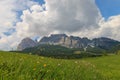 Summer meadow in front of Tofane mountain group