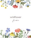 Beautiful summer meadow flowers border, botanical frame with wildflowers on white background. hand painted illustration Royalty Free Stock Photo