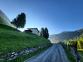Beautiful summer morning view in Val di Campo. Royalty Free Stock Photo