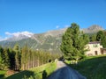 Beautiful summer morning view in Val di Campo. Royalty Free Stock Photo