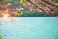 Summer mountain lake with flowering trees
