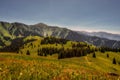 Beautiful summer mountain landscape blue smoke and forest. Kazakhstan Almaty, Aktas Plateau and Bukreev Peak Royalty Free Stock Photo