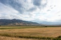 Beautiful summer mountain landscape. Wheat fields and mountains. Kyrgyzstan. Natural background Royalty Free Stock Photo