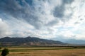 Beautiful summer mountain landscape. Wheat fields and mountains. Kyrgyzstan. Natural background Royalty Free Stock Photo