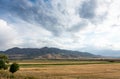 Beautiful summer mountain landscape. Wheat fields and mountains. Kyrgyzstan. Natural background Royalty Free Stock Photo