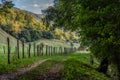 Beautiful summer mountain rural landscape Royalty Free Stock Photo