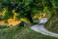 Beautiful summer mountain rural landscape Royalty Free Stock Photo