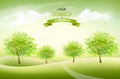 Beautiful summer nature background with a green trees