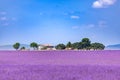 Beautiful summer nature. Lavender field summer sunset landscape near Valensole. Provence, France Royalty Free Stock Photo