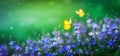 Beautiful summer nature scene with magic blue flowers and flying butterflies on green background. Wild meadow macro landscape Royalty Free Stock Photo