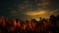 Beautiful summer night sky with stars in far east of Russia Adventure, cosmic.