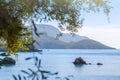 Beautiful summer panoramic seascape. View of the the sea bay with crystal clear azure water. The branches of the old olive tree in