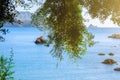 Beautiful summer panoramic seascape. View of the the sea bay with crystal clear azure water. The branches of the old olive tree in