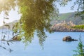 Beautiful summer panoramic seascape. View of the the sea bay with crystal clear azure water. The branches of the old olive tree in