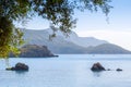 Beautiful summer panoramic seascape. View of the the sea bay with crystal clear azure water. The branches of the old olive tree in