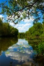Beautiful summer park, river, reflection Royalty Free Stock Photo
