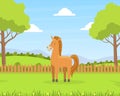 Beautiful Summer Rural Landscape with Green Field and Grazing Horse Barn Cartoon Vector Illustration