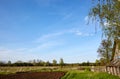 Beautiful summer rural landscape with old barn