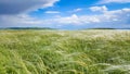 Beautiful summer rural landscape before a thunderstorm Royalty Free Stock Photo