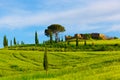 Beautiful summer rural landscape Royalty Free Stock Photo